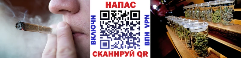 Конопля MAZAR  Купить где  Курлово 